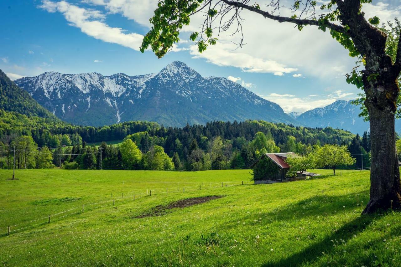 Ferienwohnung Grundlsee, Willkommen In Mami'S Ferienwohnung Bagian luar foto